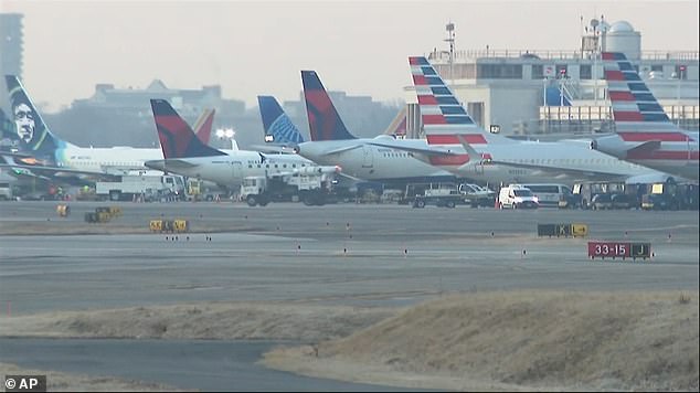 The planes landed at Washington's Reagan Airport on Wednesday morning after a failure in FAA systems grounded all flights across the country.