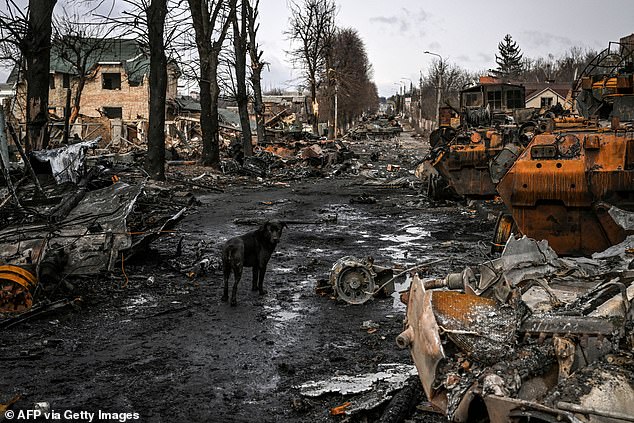 This large but badly organised army will be hurled into an assault which Ukraine must weather. Pictured are destroyed Russian armored vehicles in the city of Bucha on March 4