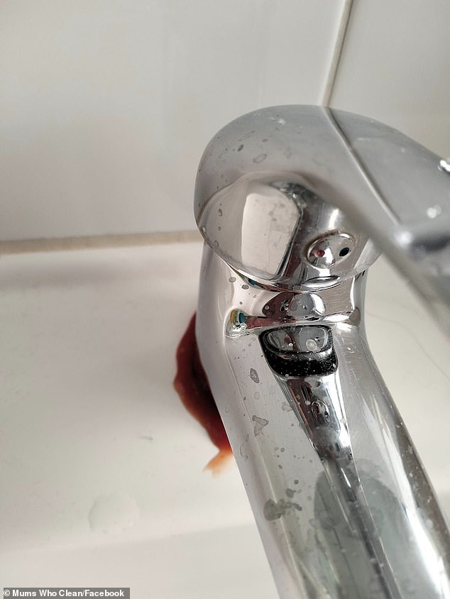 One woman applied the seasoning around the base of her bathroom sink faucet, let it sit overnight, then rubbed it in the morning to remove the tough brown marks.