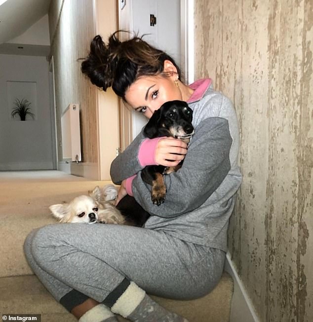 'She is now home and safe where she should be!'  Michelle recently celebrated the 'shocking' return to her family of adorable pet Brandy who was stolen from an Essex garden.