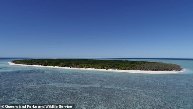 The couple's ordeal began after they set up camp on North West Island (pictured) on Saturday and went rowing.