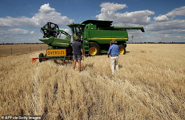 There are hopes that bans on barley (pictured), wine and lobster will also be lifted.