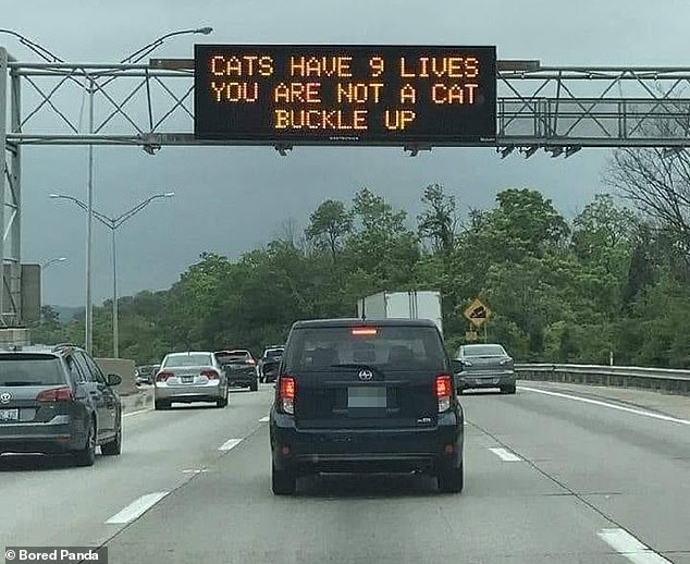 Stay calm!  It's been a long day at the office for someone in charge of signs on the Borman Expressway in Indiana, so they tried to spice things up with a witty message for those riding without seat belts.