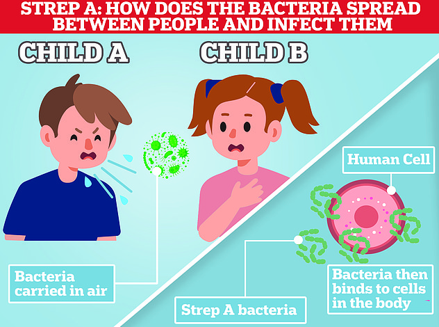 1673545290 273 Twindemic and Strep A crises may have PEAKED Flu nami admissions