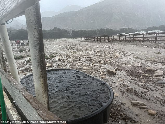 Too Wet: Pastures are now a mix of dangerous dung swamps mixed with mud.  Horse lovers fear for their pets now that Paradise Rd, HWY 154 (San Marcos Pass Rd) is closed in both directions