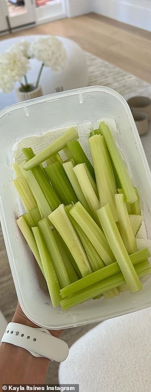 Further down the reel were plastic containers with carrot, cucumber, and celery slices.