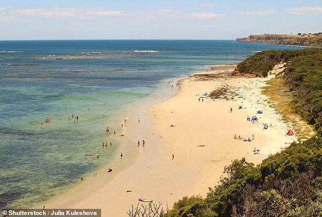 'When will @deeca_vic do something to protect our marine fauna?  We have regulations to protect our marine wildlife, but who enforces them?'  (pictured a beach on the Mornington Peninsula in Flinders)