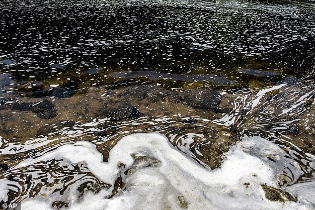 When  make-up is washed off, PFAS can enter water sources and end up in streams and rivers - potentially contaminating ecosystems and poisoning fish. Pictured, PFAS foam gathers at the the Van Etten Creek dam in Iosco County, Michigan