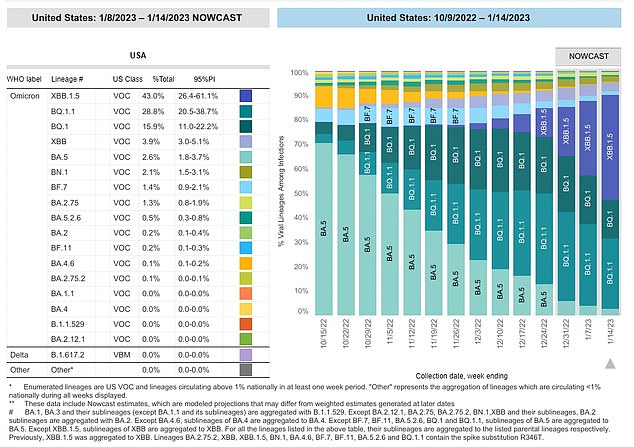 Today the Centers for Disease Control and Prevention (CDC) revealed that the Omicron subvariant XBB.1.5 was now the most common variant in the US