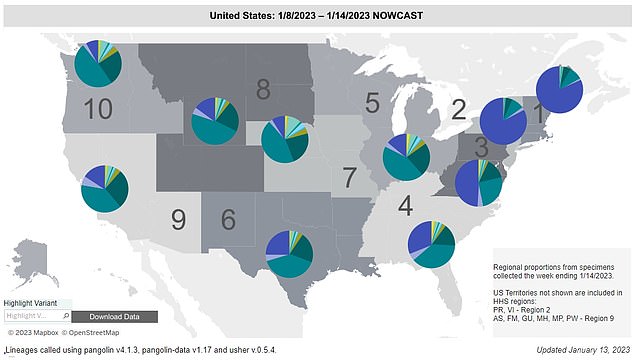 It is dominant in the northeastern states, and growing fast in other areas