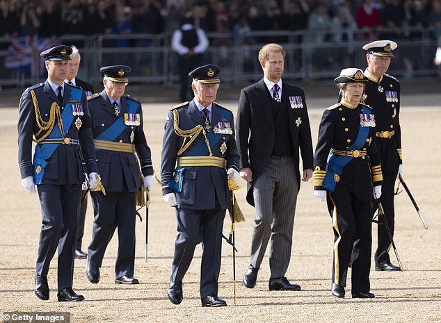 Harry (pictured in the Queen's coffin procession) said he wanted to sit down and talk to his family.