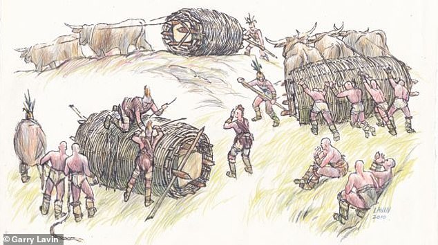 It has been suggested that cows could have been used to pull giant wicker baskets containing the huge boulders, and rolling them to their destination