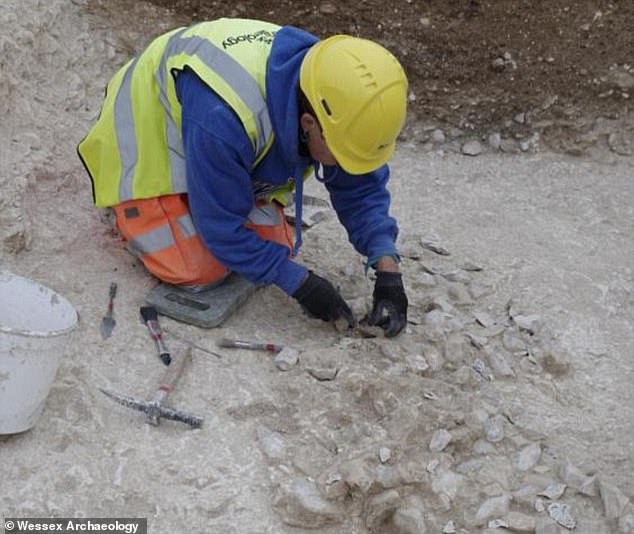 A large complex found around 1.5 miles (2.4 km) from Stonehenge in 2016 is thought to date back to 3,650 BC - more than 1,000 years before it was built. Pictured: Excavating the complex