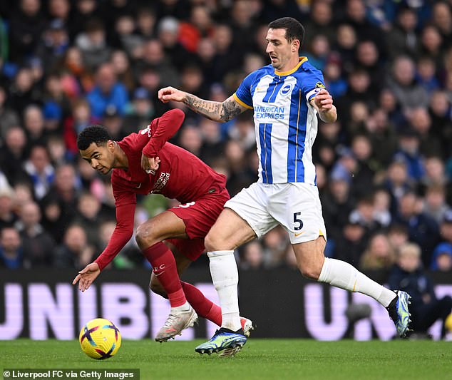 Lewis Dunk barely put a foot wrong throughout the match and kept Cody Gakpo quiet