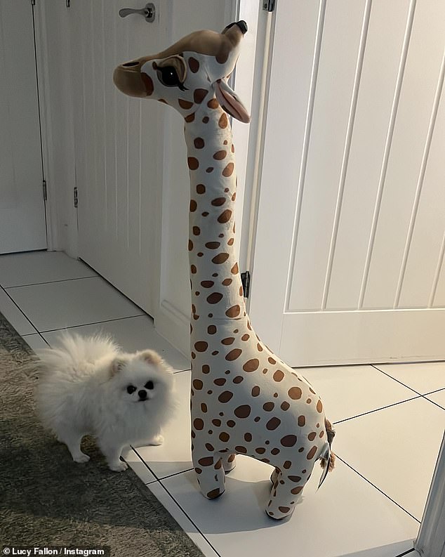 Adorable: Her pet dog, Sushi, posed next to a giant stuffed giraffe statue in an instant