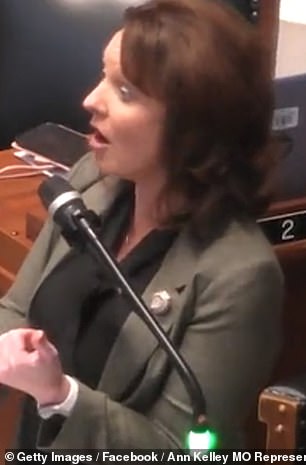 Republican Representative Ann Kelley