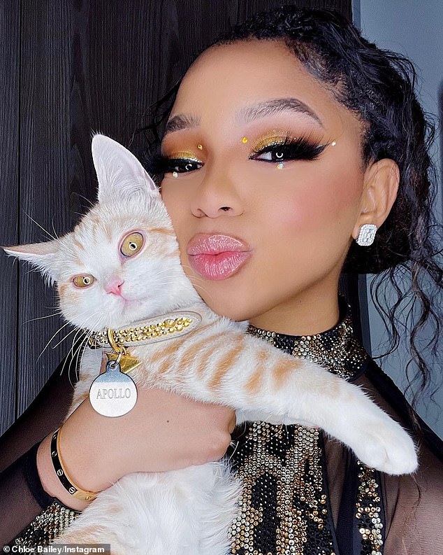 Apollo: The Grammy winner shared a cute photo with her cat Apollo, whose amber eyes were highlighted by a sleek white and gold collar