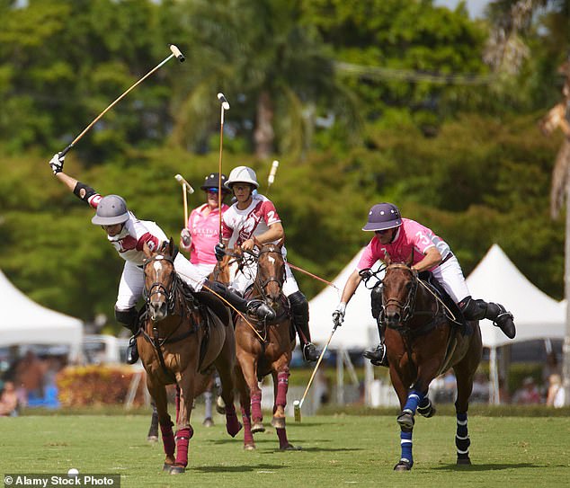 Venture: Cobra founder Lord Bilimoria made a huge profit on his Calcutta polo batons