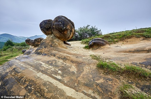 Visitors to the site can walk by the large variety of spherical and ellipsoidal trovant stones, which grow slowly over time in the presence of rainwater