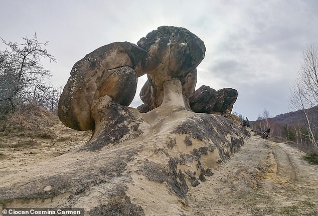 Trovants is a synonym for the German term 'Sandsteinkonkretionen', which means 'cemented sand'