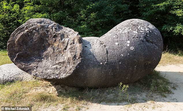 The well known trovants of this age are those at Coste¿ti (Oltenia). Their diameters are big; in the metre range. They are spherical, ovoid, but many of them have twinned, complicated forms