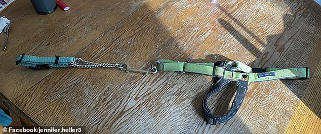 This is the photo of the dog's collar, shared by Jennifer in a Facebook post.