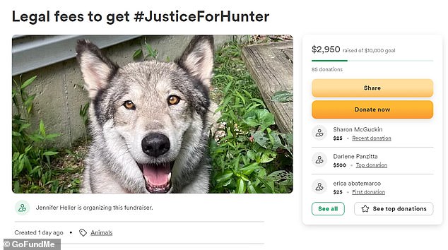 The family is now raising money to cover legal costs against the hunter.