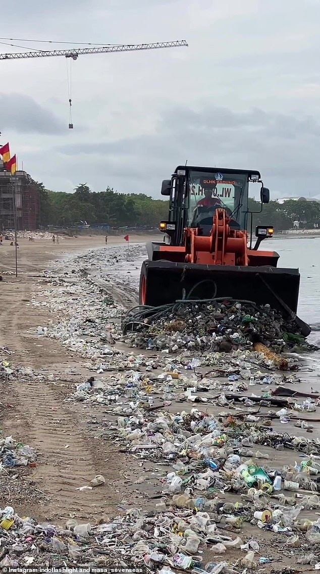 More than 100 volunteers and four front loaders (pictured) were sent to Kuta beach to clean up the rubbish.  An estimated 600 tons of debris washed up along the entire Bali coastline from October to December.