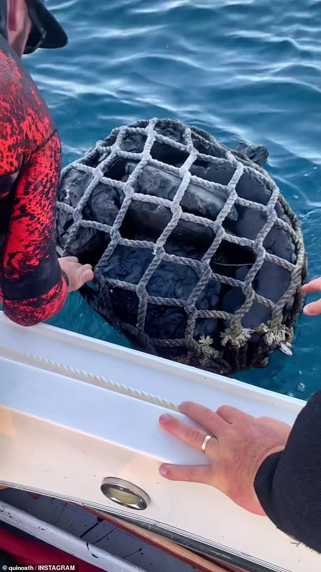 Quinn is seen pulling the package, encased in a web of ropes, to the side of his boat and watching it.