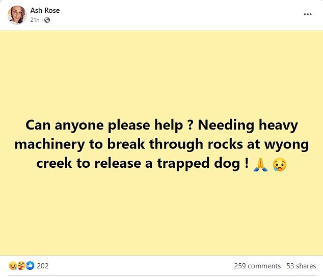 Jax's owners made desperate pleas to the NSW Central Coast community to help rescue Jax and were overwhelmed with offers.