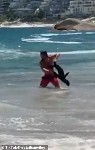 A man grabbed the baby seal by the flippers