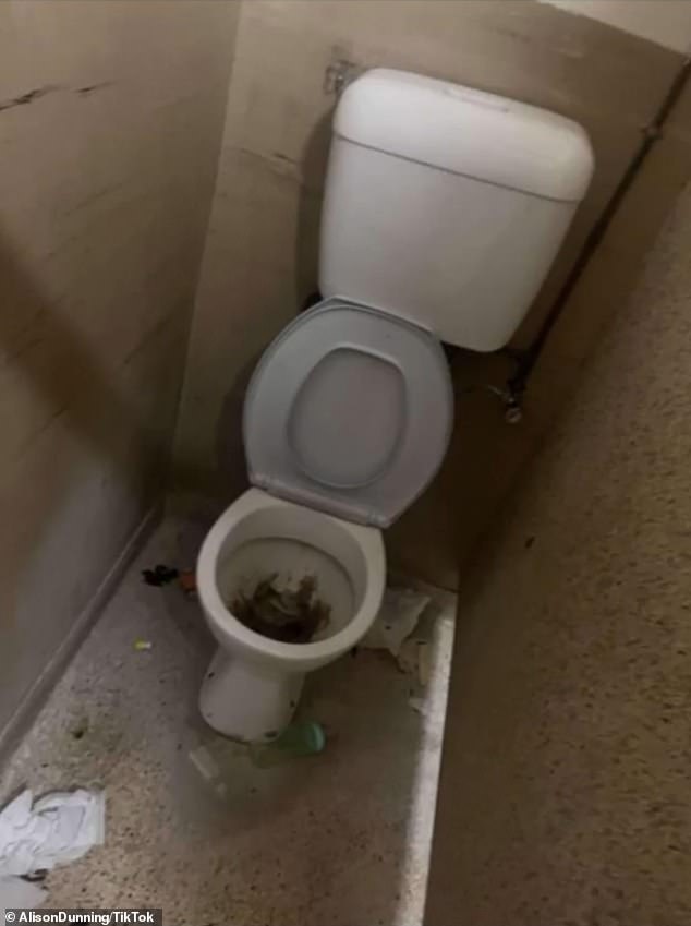 'Upgraded' shared bathrooms included broken and dirty toilets (pictured)