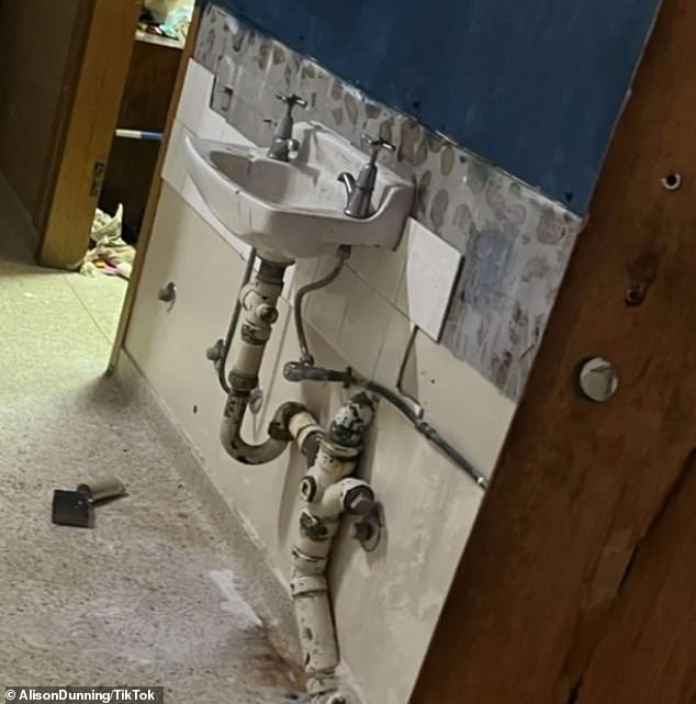 Alison Dunning called on the Tasmanian government to intervene, despite the guesthouse being privately owned (pictured is broken tiles in bathroom)