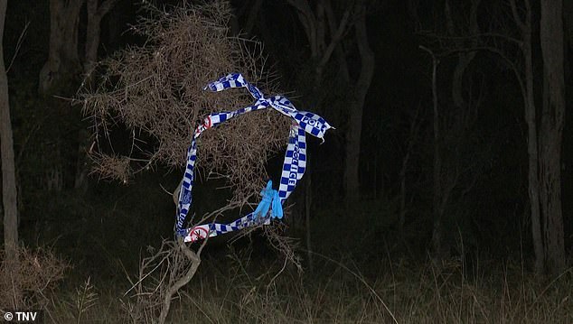 1673906793 244 Mother of two allegedly murdered in apartment in Penrith Sydneys west