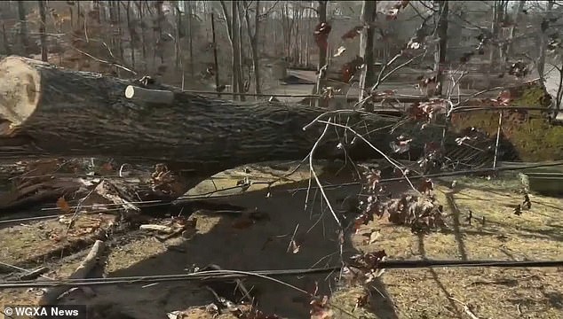 Lineman Jesse Maxwell was one of three who died Friday after tornadoes and storms swept through the north central parts of the state, causing widespread destruction.