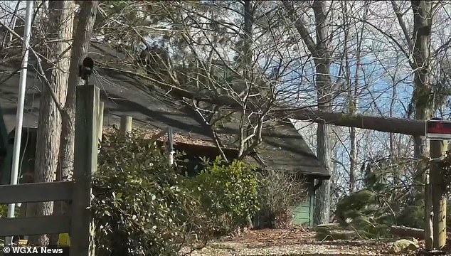 The power line worker was killed in his home county of Jasper while trying to restore power to his community, but was struck from behind by a falling tree limb and died.