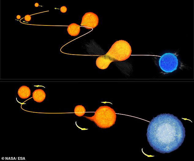 Gosnell takes an unconventional approach to physics by comparing the lifespans of stars to that of humans in order to turn science into an art.