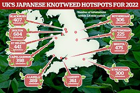 1673954917 238 Thermoelectric device zaps Japanese knotweed at the roots