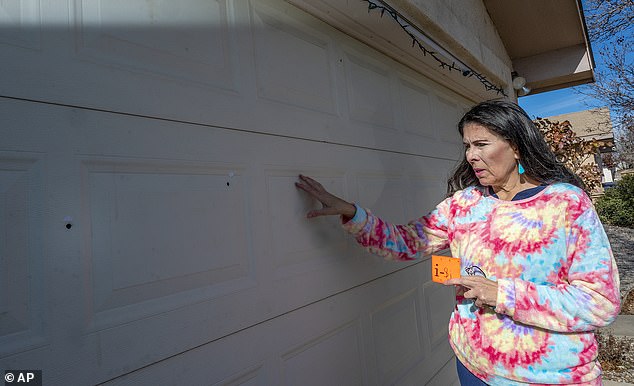 New Mexico Senator Linda Lopez is pictured next to the bullet holes left in her garage door after the January 5 shooting.