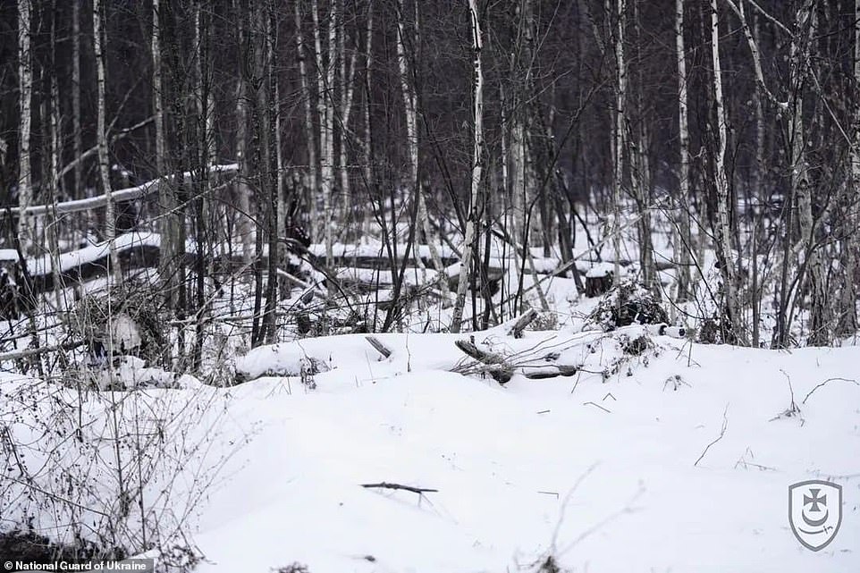 Snipers on the battlefield use the grass, trees, and bushes to hide and go undetected.  They are also known to wear ghillie suits, a type of camouflage clothing designed to resemble the background environment, such as foliage, snow, or sand.