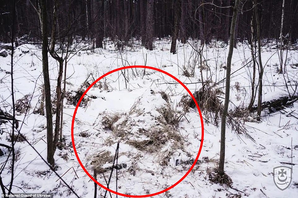 A sniper was found in this photograph, hidden in the foreground lying face down on the forest floor with his back to the camera.  The shooter appears to be wearing a ghillie suit and is partially covered in snow to blend in with his surroundings.