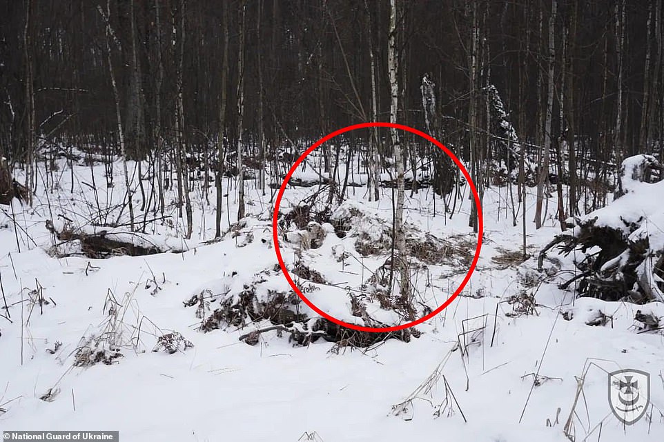 Another sniper was seen in this photograph, facing left and leaning against snow-covered logs on the forest floor.