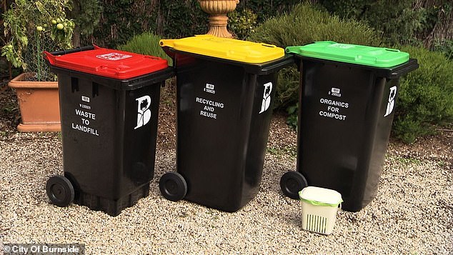 In South Australia, residents have three bins: the red top is for waste, the yellow is for recycling, and the green is for organics (pictured).