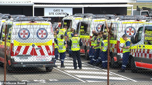 Emergency services on the scene at Sydney airport after a Qantas flight issued an emergency call.