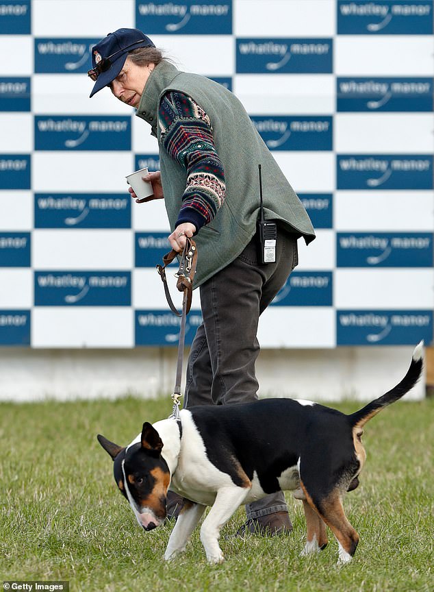 Princess Anne walks one of her English Bull Terriers at Gatcombe Park in Stroud in September 2018