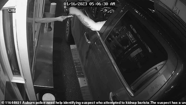 The barista is seen handing the cash back to the suspect before he breaks the zip ties and tries to drag her through the drive-thru window.