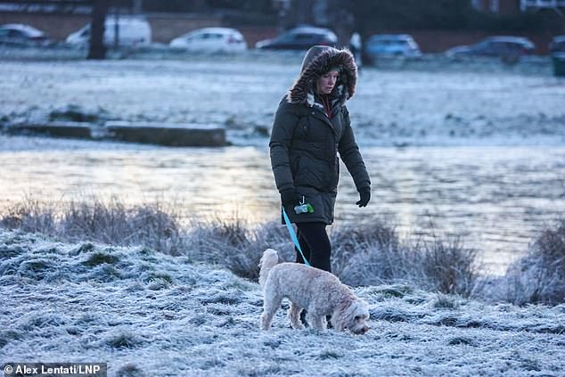 A woman walks her dog through a frosty Wimbledon Common. Forecasters have warned there will be more freezing weather throughout the week