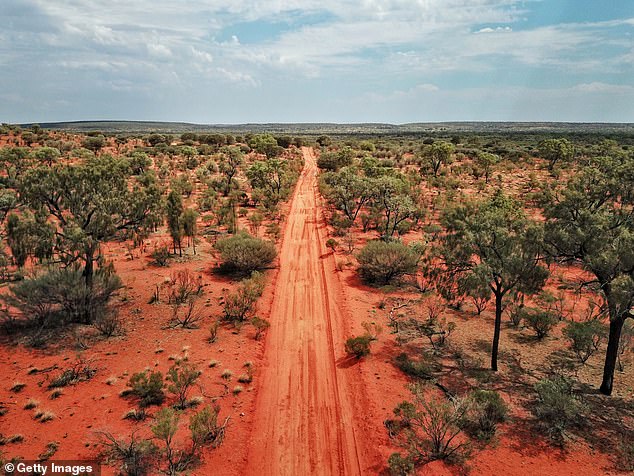 In the Australian outback, temperatures soar to 113 degrees (45C) meaning that animals have adapted to staying cool. Pictured: An aerial shot of the red centre roads in the Australian outback