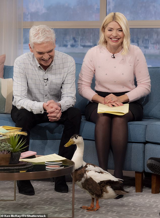 Bird Brain: The four-year-old Indian Runner Duck proved to be the perfect guest, sitting calm and quiet until Holly offered him a cup of tea.