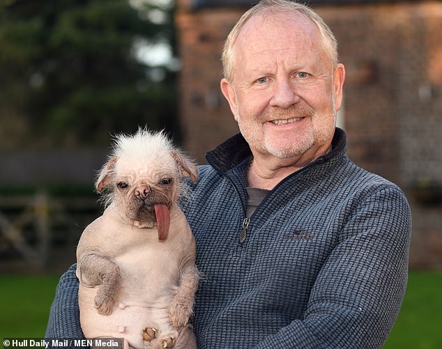 The dog is almost hairless, save for a few tufts on her head, paws, and ears, and her tongue protrudes from her mouth.